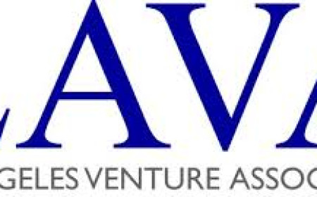 Building the Team for the Emerging Growth Company: Los Angeles Venture Association (LAVA)